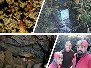 Nueva cavidad designada como Reserva Entomológica Nueva cavidad designada como Reserva Entomológica