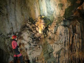 Nueva cavidad designada como Reserva Entomológica Nueva cavidad designada como Reserva Entomológica