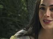 Mascotas abandonadas México Latam: Past Post ofrece futuro mejor tras muerte dueños