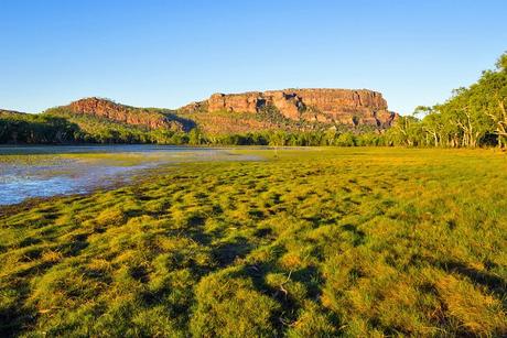 Vistas a Nourlangie desde Anbangbang Billabong, Parque Nacional Kakadu