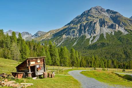 15 atracciones turísticas mejor valoradas en Suiza Ruta de senderismo en el Parque Nacional Suizo