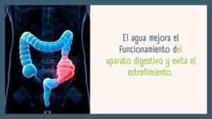 Como saber si estas bien hidratada para Controlar Peso