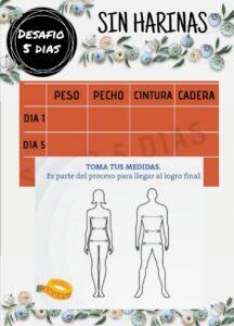 RETO 5 Dias Sin Azucar y Sin Harinas GRATIS (Version 2023)