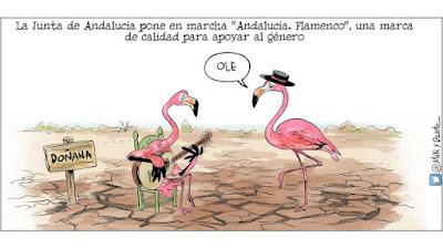 ¿Quién fue más franquista: el Barça o el Real Madrid?… ‘Y King Corp, el imperio nunca contado de Juan Carlos I.