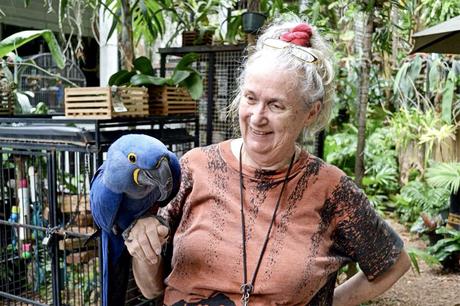 25 mejores cosas para hacer en Key West (The Conch Republic)