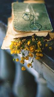 5.460 - UN PERGAMINO...