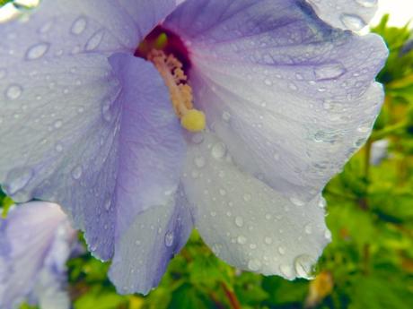 Primera vez. Primera vez.