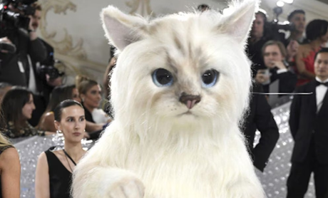 #ENTRETENIMIENTO:  | Jared Leto aparece vestido de gato en el #MetGala2023: Esta es la razón