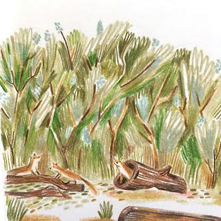 Ilustrando a... Verónica Fabregat