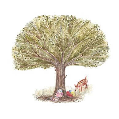 Ilustrando a... Verónica Fabregat