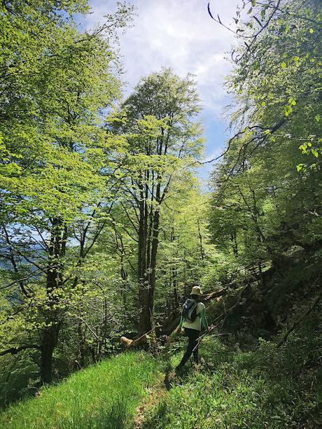 Circular al Tiatordos desde Taranes