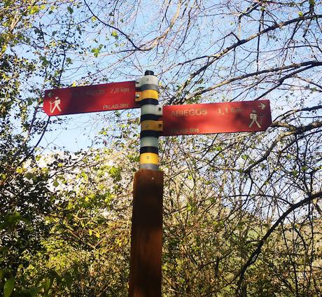 Circular al Tiatordos desde Taranes