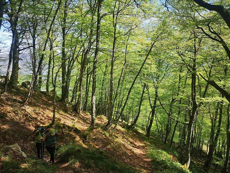 Circular al Tiatordos desde Taranes