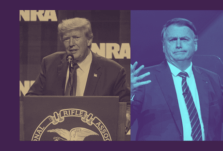 ChatGPT y las hojas verdes en verano ChatGPT y las hojas verdes en verano