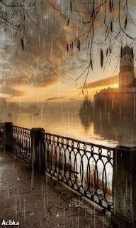 5.464 - LLUVIA SILENTE... 5.464 - LLUVIA SILENTE...