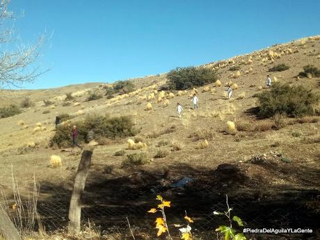 Cintia Galetto la secretaria adjunta de ATEN que siempre regresa