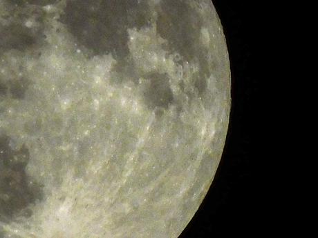 Toque humano. Toque humano.