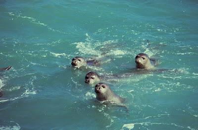 CGT, CNT y Solidaridad Obrera luchan por primera vez conjuntamente… Y bronca, en Madrid, el Dos de Mayo.