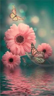 5.466 - NACEN LOS PÉTALOS...