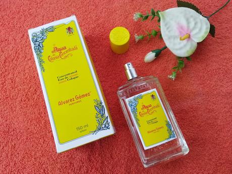 Probando el agua de colonia concentrada Álvarez Gómez