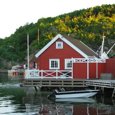 Adultos -Marie Aubert