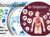 Microplásticos: Impacto potencial salud seres humanos
