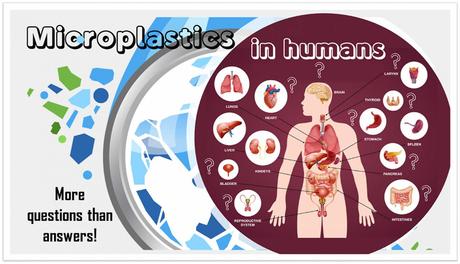 Microplásticos: Impacto potencial en la salud de los seres humanos
