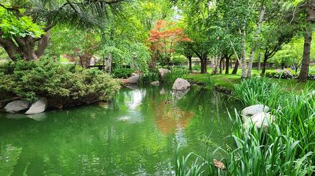 Un estanque en el parque Kariya
