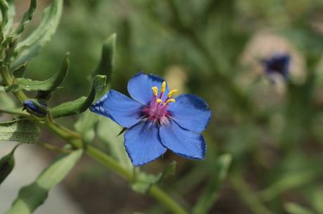 15 mejores cosas que hacer en St. Gallen (Suiza)