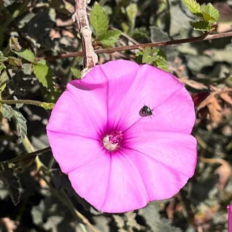 VULNERABILIDAD: Ser una persona llorona es más necesario de lo que la sociedad impone