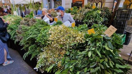 Vuelve la feria de las hierbas medicinales en Barcelona