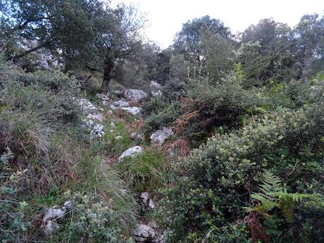 Arenas de Cabrales-Canal de Somas-Portudera-La Calzada de Caoru