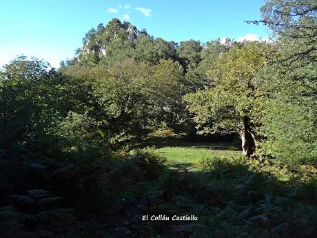 Arenas de Cabrales-Canal de Somas-Portudera-La Calzada de Caoru