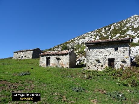 Arenas de Cabrales-Canal de Somas-Portudera-La Calzada de Caoru