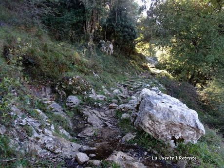 Arenas de Cabrales-Canal de Somas-Portudera-La Calzada de Caoru