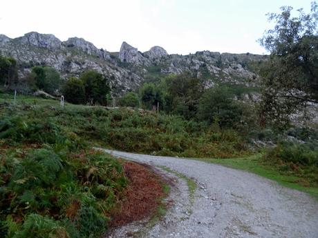 Arenas de Cabrales-Canal de Somas-Portudera-La Calzada de Caoru