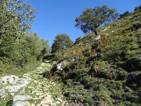 Arenas de Cabrales-Canal de Somas-Portudera-La Calzada de Caoru