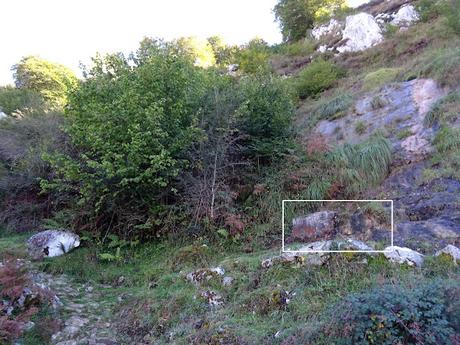 Arenas de Cabrales-Canal de Somas-Portudera-La Calzada de Caoru