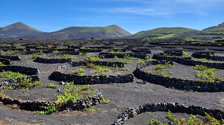 Las 13 cosas mejor valoradas para hacer en Lanzarote