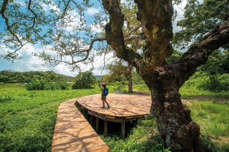 Hong Kong Great Outdoors 2021-Outdoors-Yim Tin Tsai Itinerary-heroImage-02