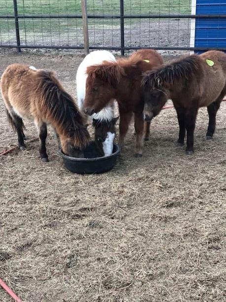 15 mejores cosas que hacer en Chipping Norton (Oxfordshire, Inglaterra)