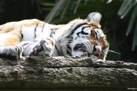 15 mejores cosas que hacer en Chipping Norton (Oxfordshire, Inglaterra)