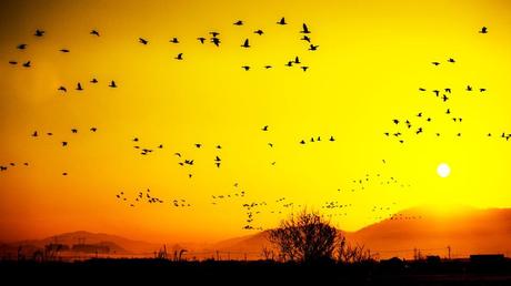 15 mejores cosas para hacer en Changwon (Corea del Sur) Embalse de Junam