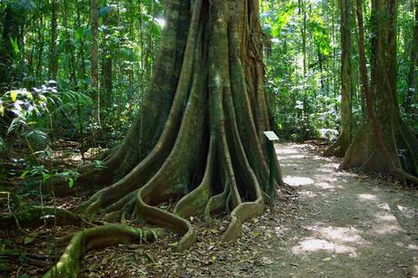 Reserva escénica Mary Cairncross