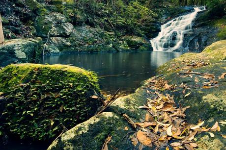 Cataratas de Kondalilla