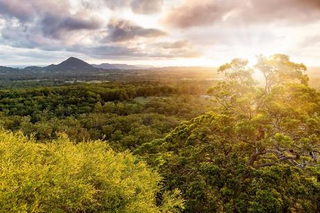 Parque Nacional Tewantin