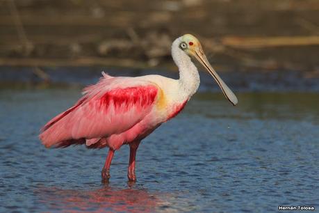 Una vuelta por la laguna de Monte