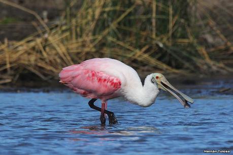 Una vuelta por la laguna de Monte