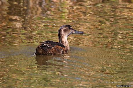 Una vuelta por la laguna de Monte