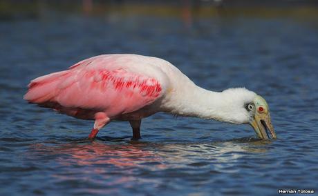 Una vuelta por la laguna de Monte